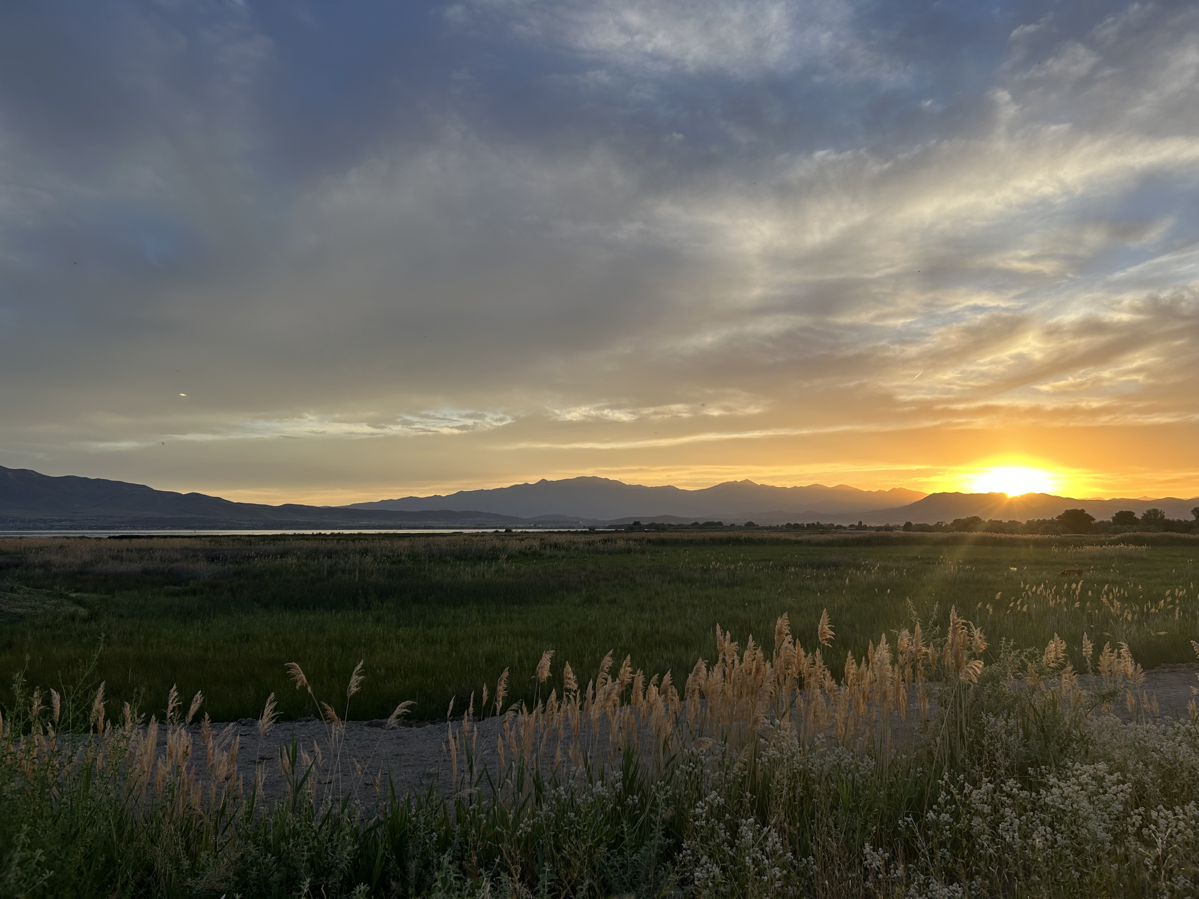 Solium sunset